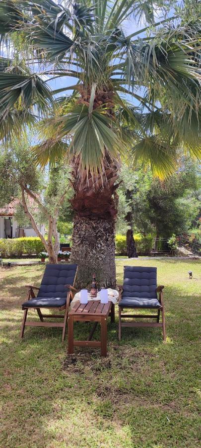 Villa Βianca In Sithonia Gerakini Exteriér fotografie