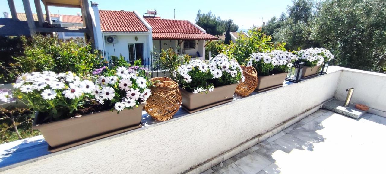 Villa Βianca In Sithonia Gerakini Exteriér fotografie