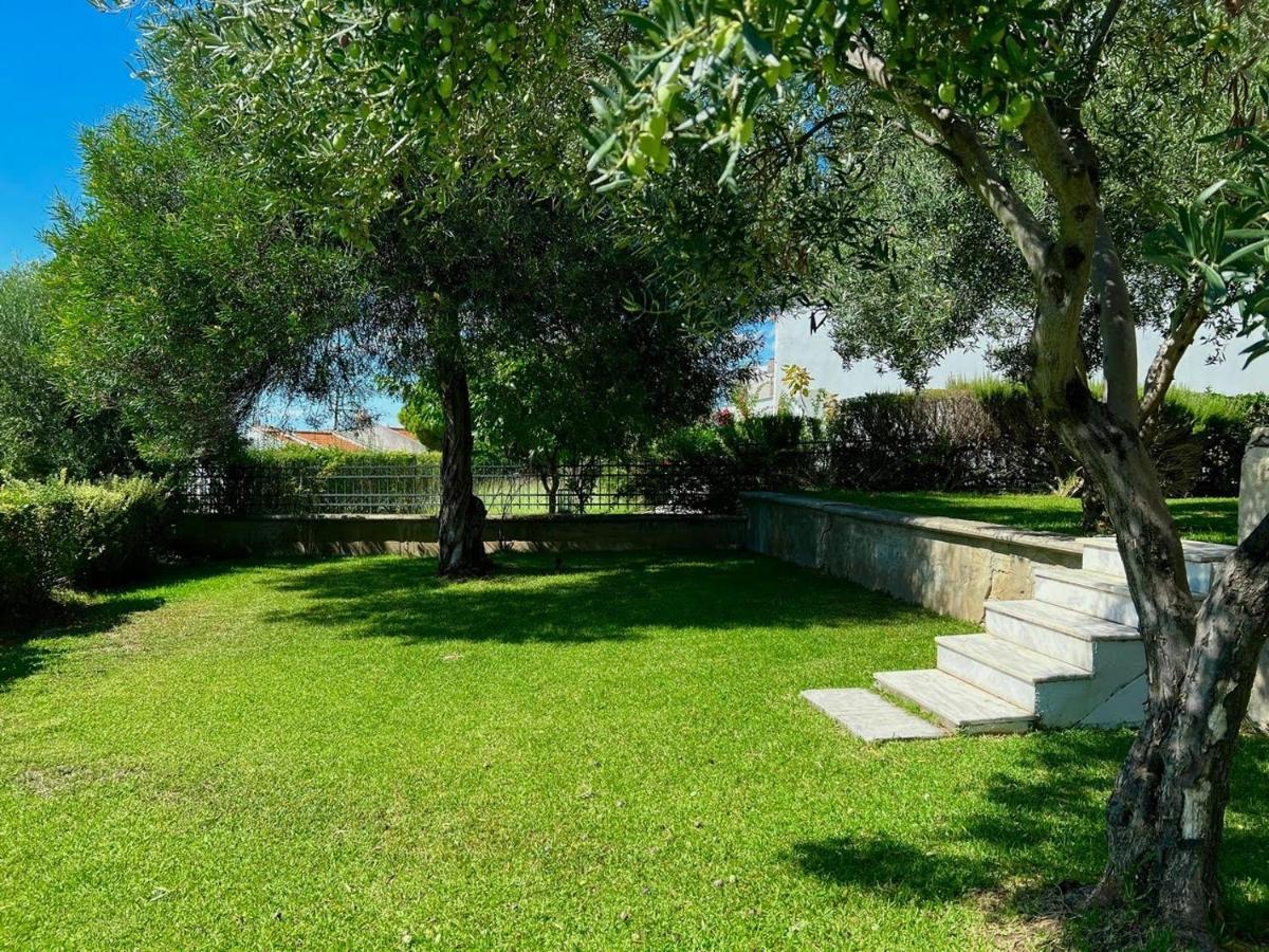 Villa Βianca In Sithonia Gerakini Exteriér fotografie
